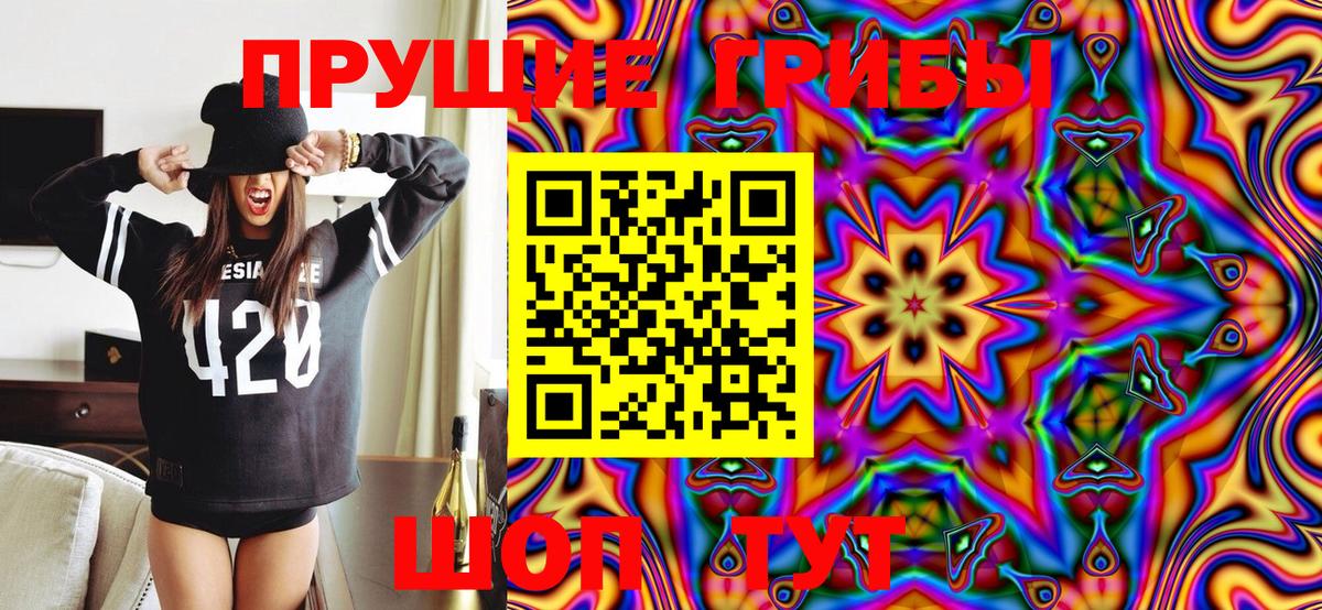 Галлюциногенные грибы MAGIC MUSHROOMS Малоярославец