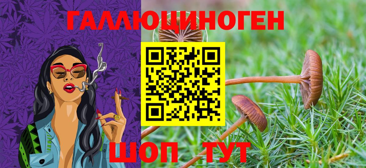 Галлюциногенные грибы Cubensis  Вход с VPN  Малоярославец 